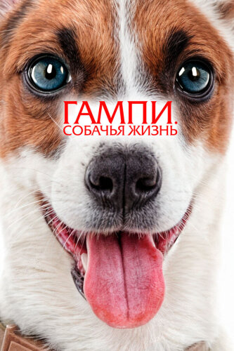  Гампи. Собачья жизнь 