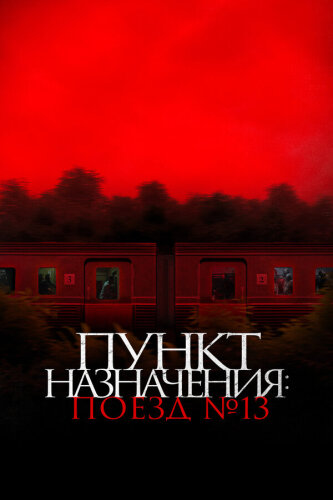 Пункт назначения: Поезд №13 