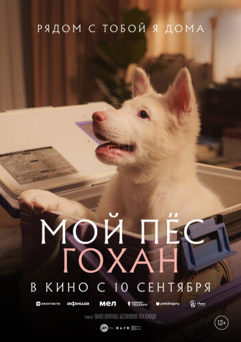  Мой пёс Гохан 